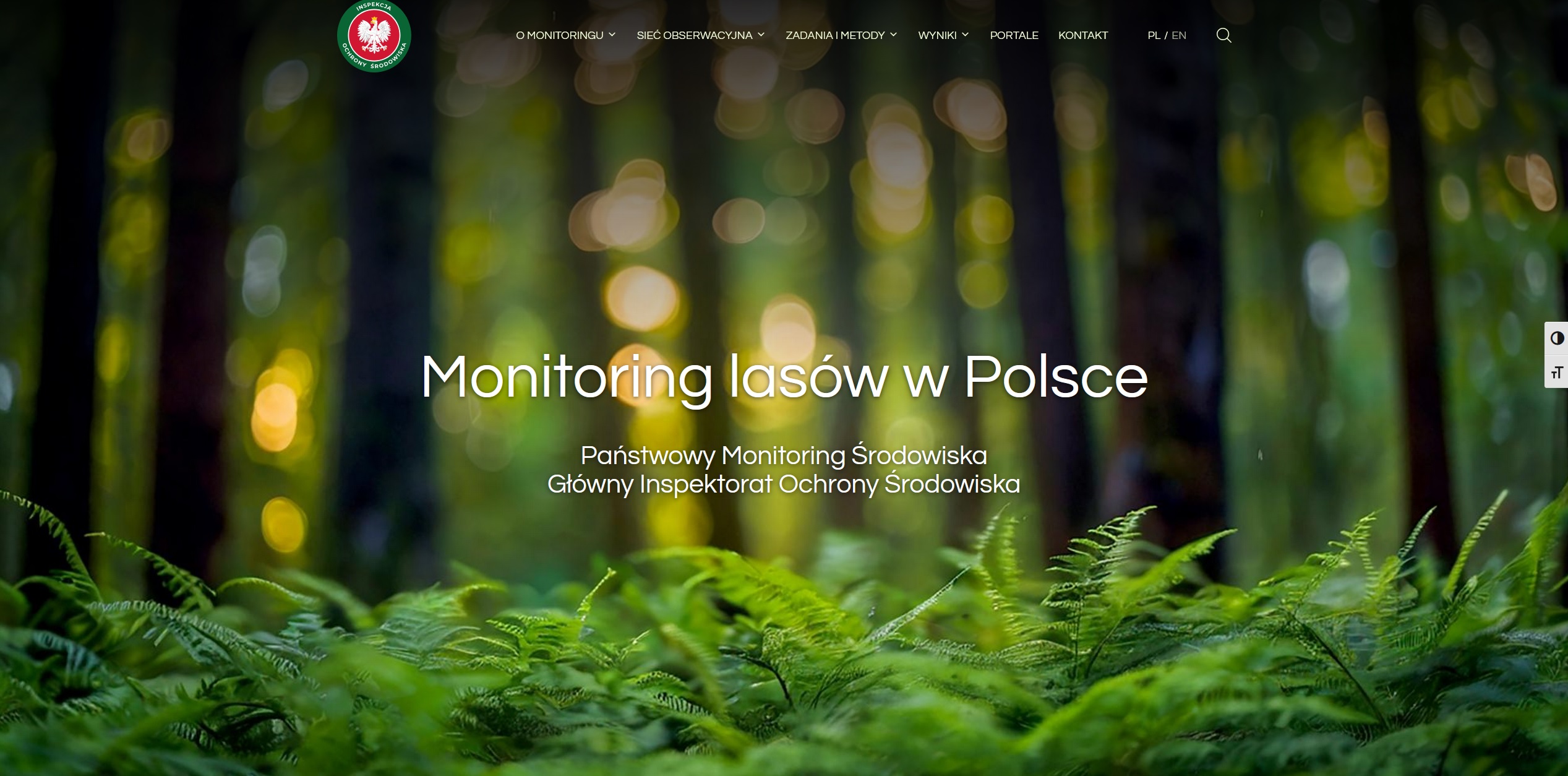 widok strony startowej monitoringu lasów w Polsce