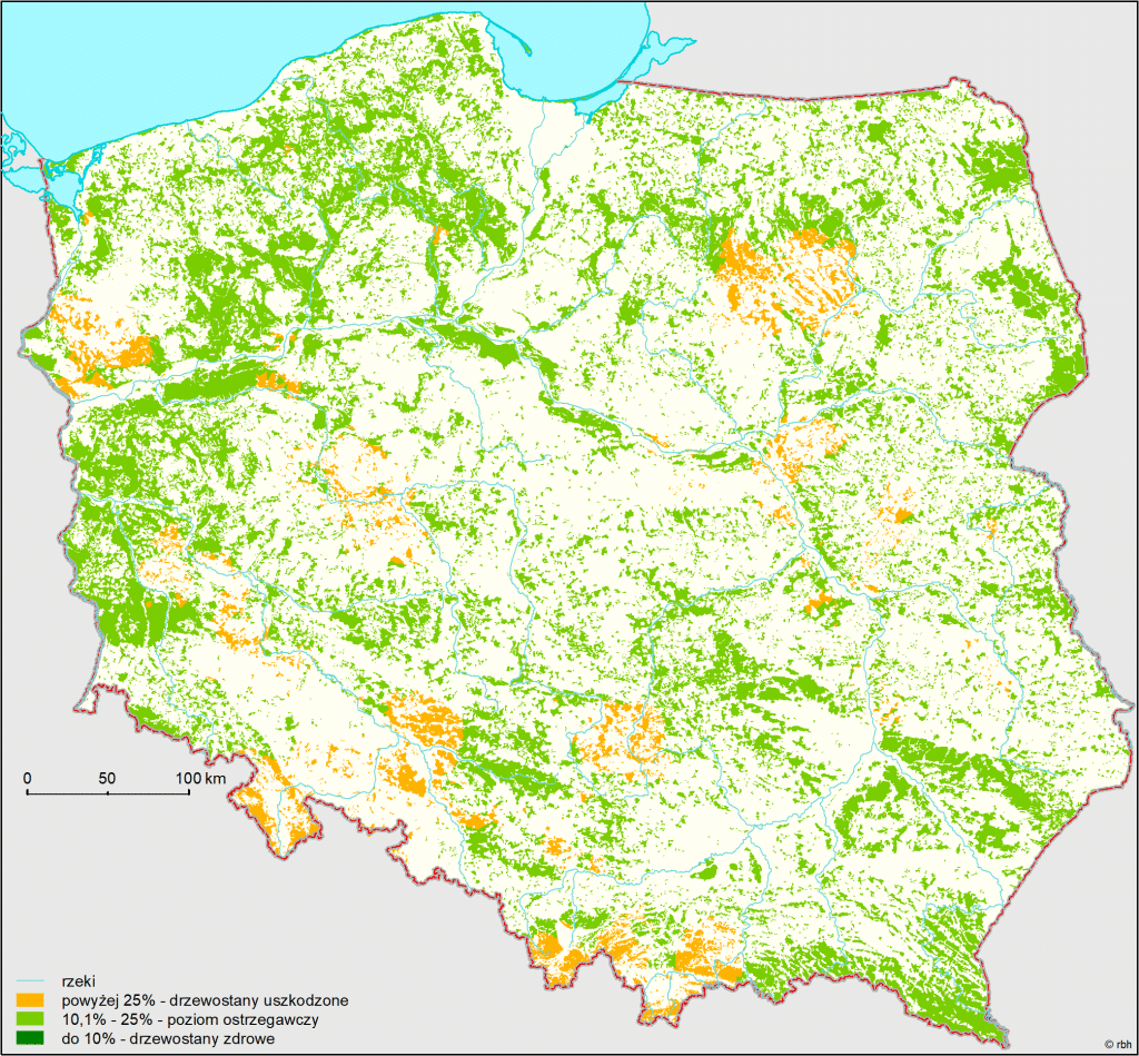 Mapa defoliacji drzew na stałych powierzchniach obserwacyjnych z wyróżnieniem 3 klas defoliacji w 2023 roku. Kolorem pomarańczowym oznaczono drzewostany uszkodzone, których defoliacja wynosi powyżej 25%, kolorem jasnozielonym - drzewostany, których defoliacja wynosi od 10,1% do 25% (poziom ostrzegawczy), a kolorem ciemnozielonym - drzewostany zdrowe z defoliacją do 10%.