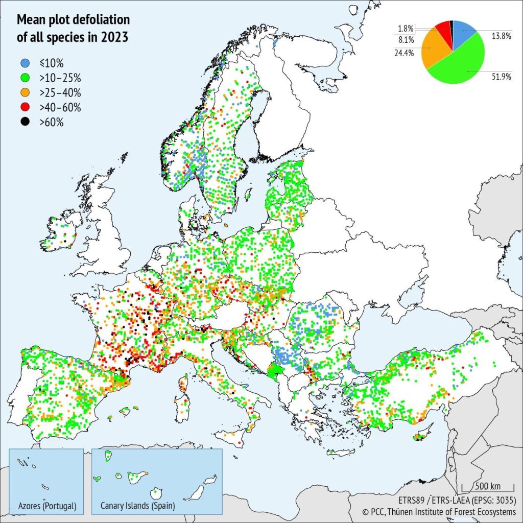 Średnia defoliacja wszystkich gatunków w 2023 r. na powierzchniach obserwacyjnych monitoringu lasów, przedstawiona jako klasy defoliacji. Legenda (w lewym górnym rogu) pokazuje klasy defoliacji od braku (niebieski), lekkiej (zielony), średniej (pomarańczowy i czerwony) do dużej (czarny) defoliacji. Procenty odnoszą się do utraty igieł/liści w koronie w porównaniu do drzew odniesienia. Wykres kołowy (w prawym górnym rogu) pokazuje udział powierzchni w klasach defoliacji. Martwe drzewa nie są uwzględnione [źródło: Forest Condition in Europe. The 2024 Assessment. ICP Forest].