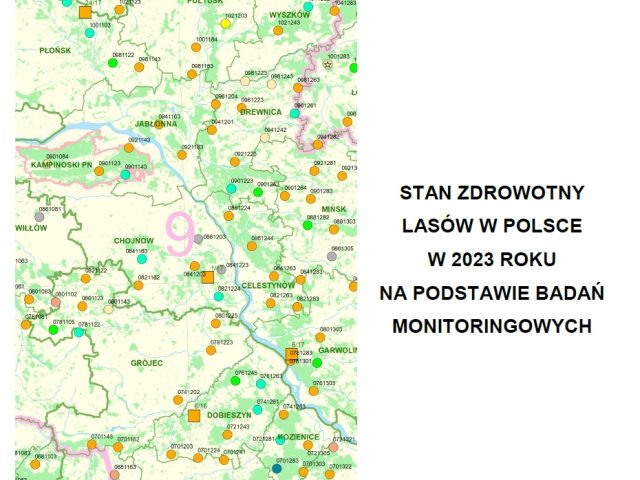 Raport o stanie zdrowotnym lasów w Polsce w 2023 r.