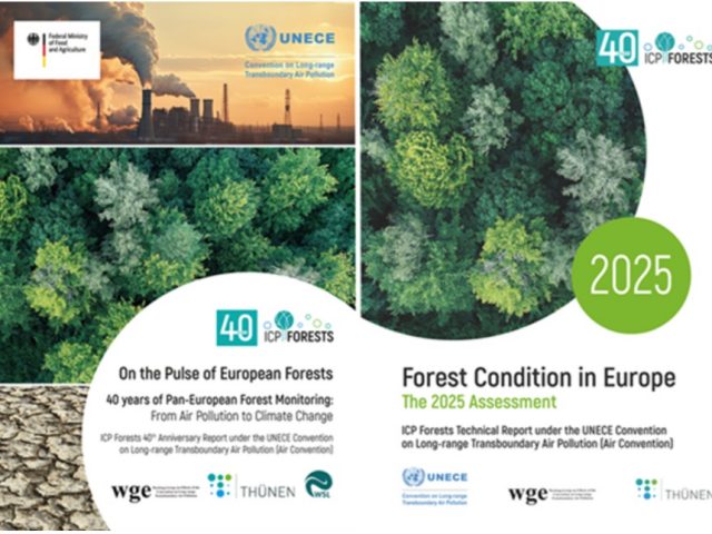 40 lat działalności Programu ICP Forests